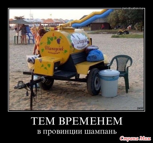 отвечающий за ожирение белок